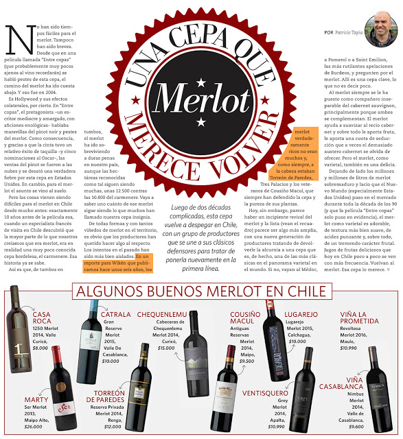 “Merlot, una cepa que merece volver”